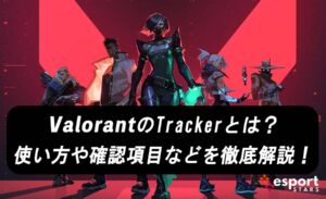 ValorantのTrackerとは？使い方や確認項目などを徹底解説！