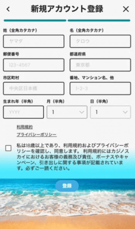 casinosky-register3